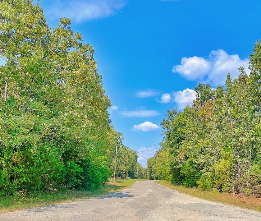 0.54 Acres for Sale in Horseshoe Bend, Arkansas