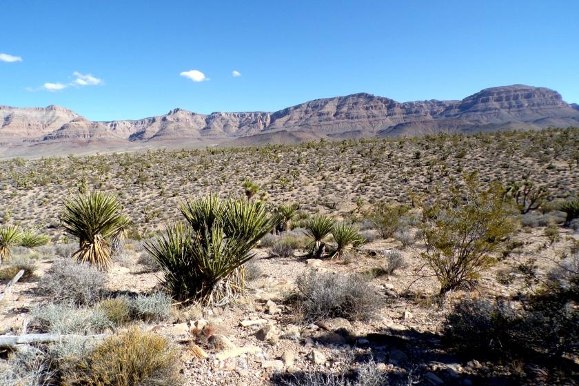 1.25 Acres for Sale in Meadview, Arizona