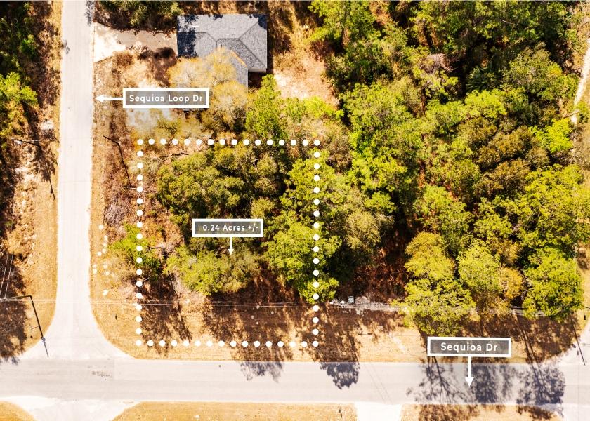 0.24 Acres for Sale in Ocklawaha, Florida