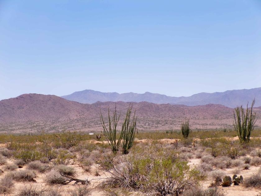 5 Acres for Sale in Yucca, Arizona