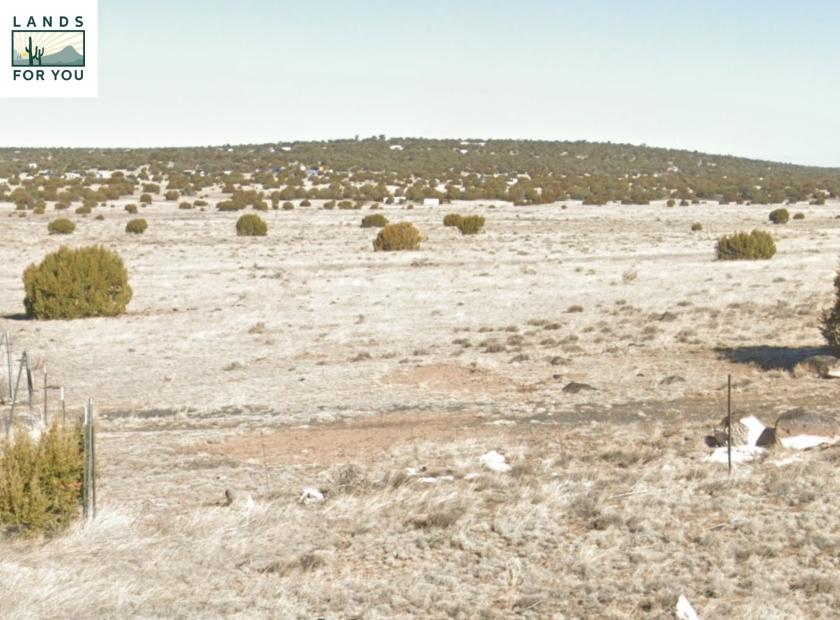 1.13 Acres for Sale in Concho, Arizona
