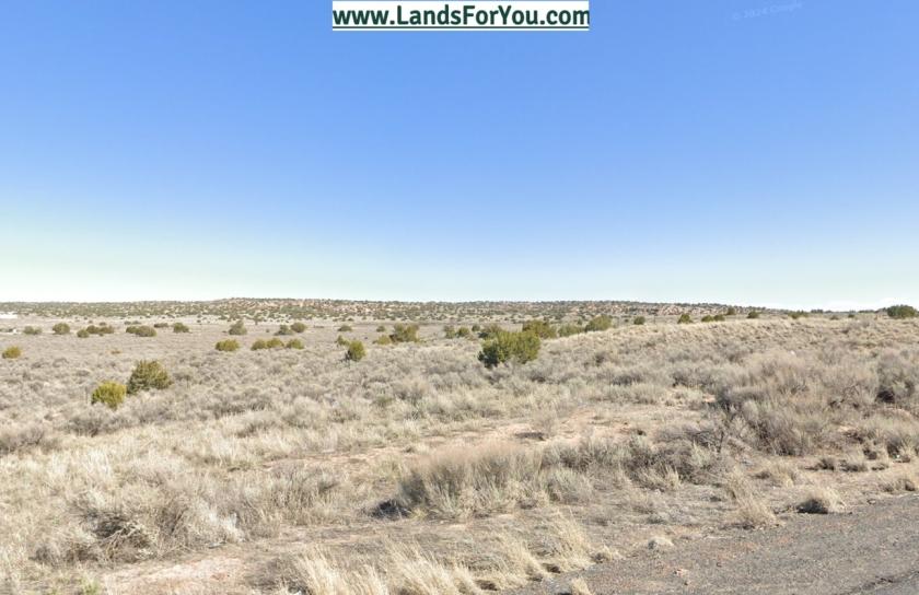 1.07 Acres for Sale in Sanders, Arizona