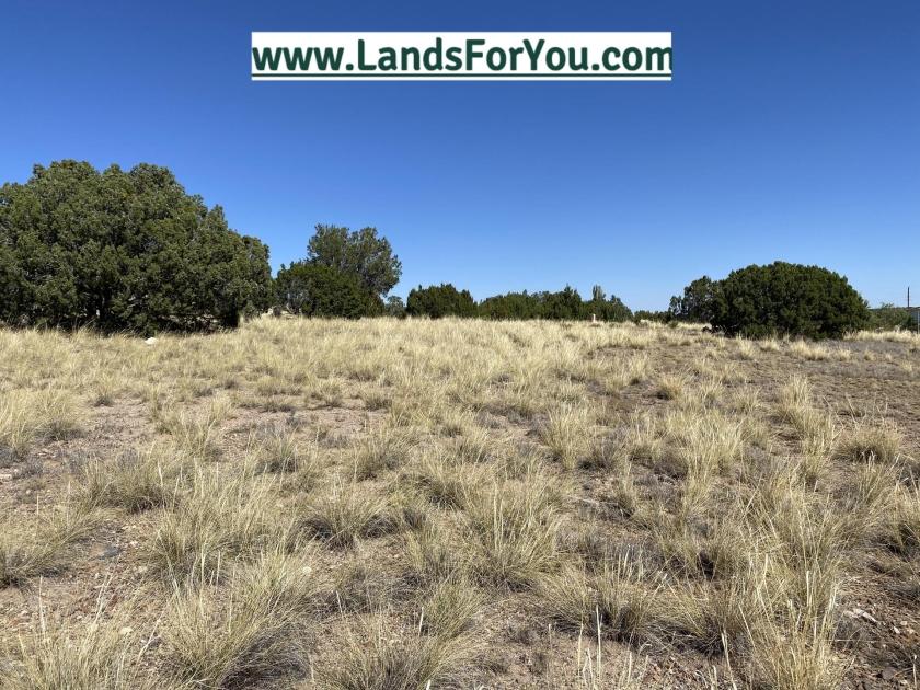 0.33 Acres for Sale in Concho, Arizona