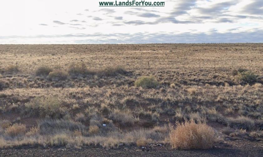 1.16 Acres for Sale in Adamana, Arizona