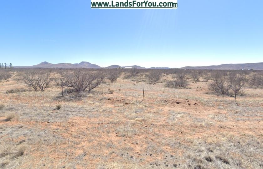 1.46 Acres for Sale in Sunizona, Arizona