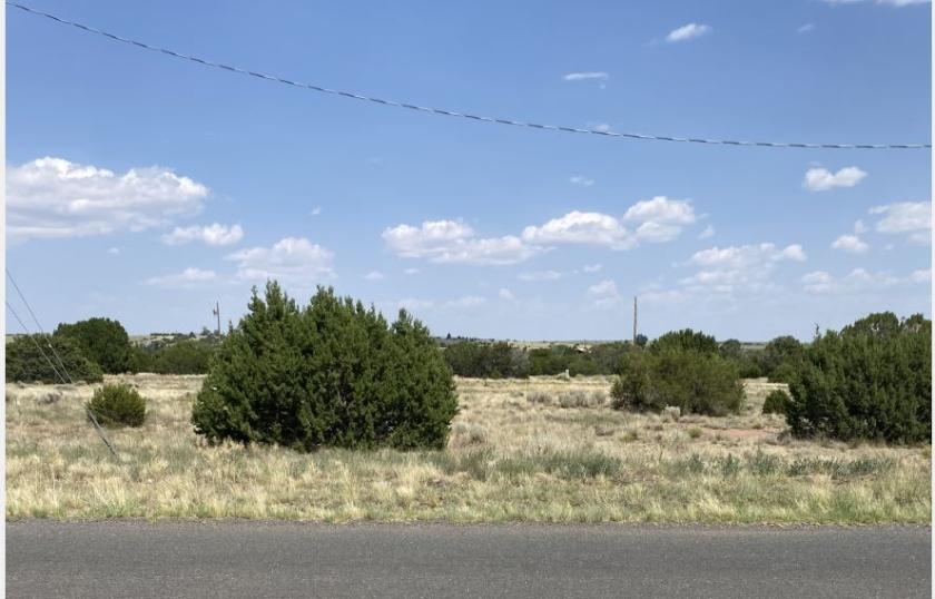 0.38 Acres for Sale in Concho, Arizona