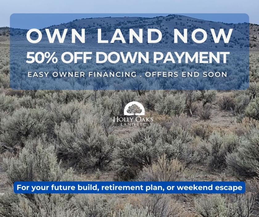 10 Acres for Sale in Wells, Nevada