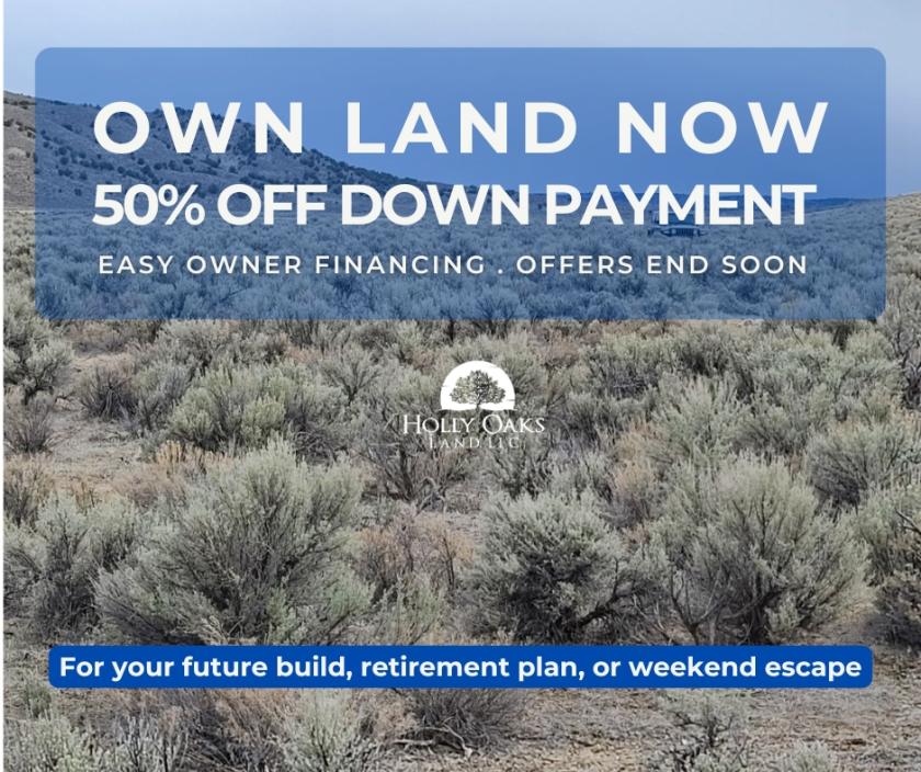 10 Acres for Sale in Wells, Nevada