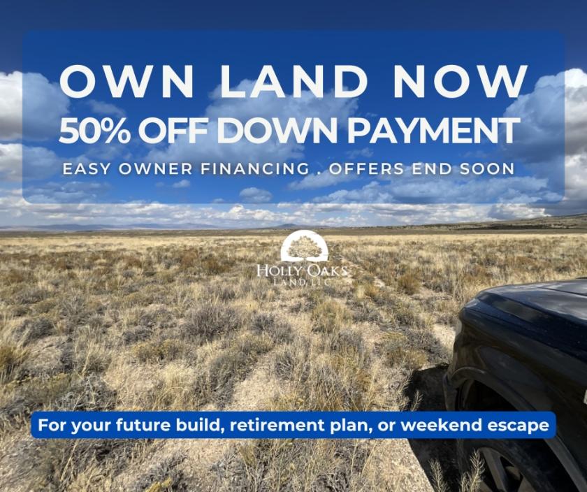 10 Acres for Sale in Wells, Nevada