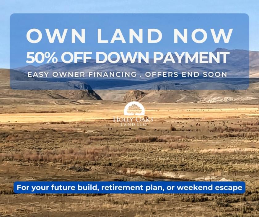 20 Acres for Sale in Halleck, Nevada