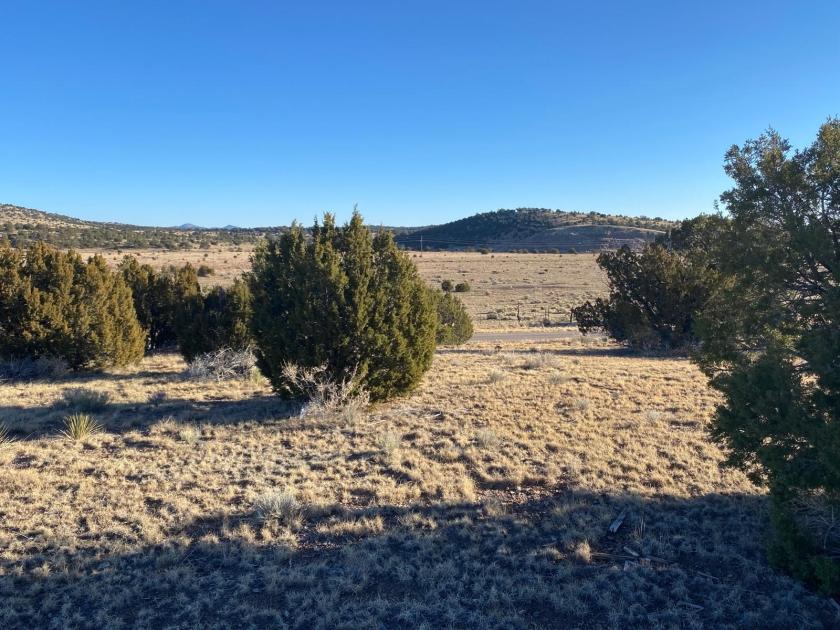 0.62 Acres for Sale in Buffalo Gap, New Mexico