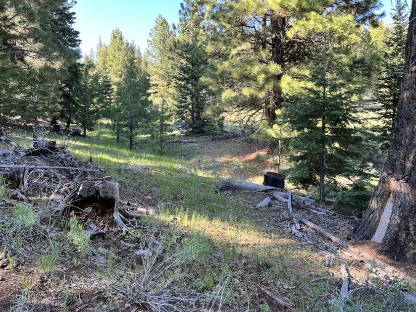 0.96 Acres for Sale in Alturas, California