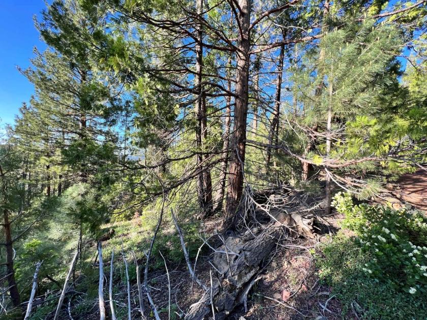 1.00 Acres for Sale in Alturas, California