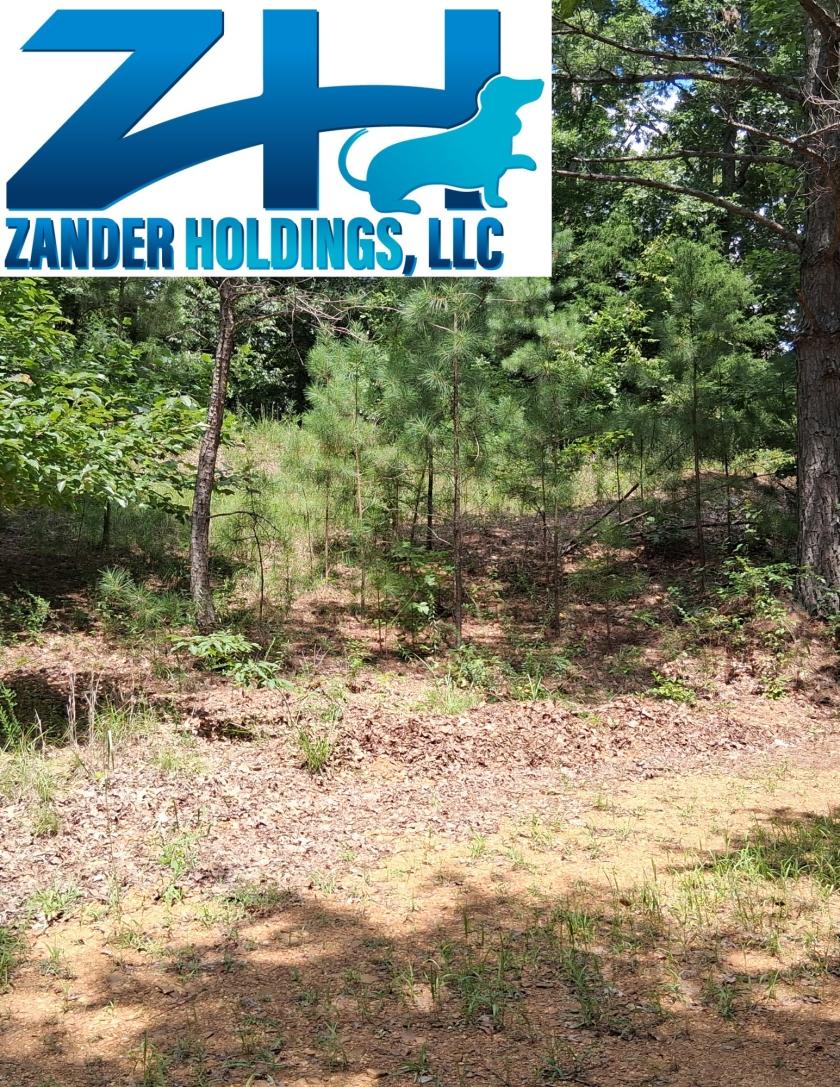 0.37 Acres for Sale in New Concord, Kentucky