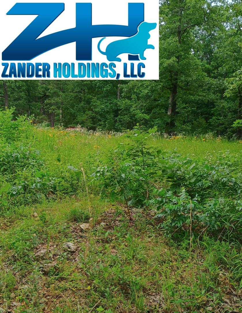 0.12 Acres for Sale in Williford, Arkansas