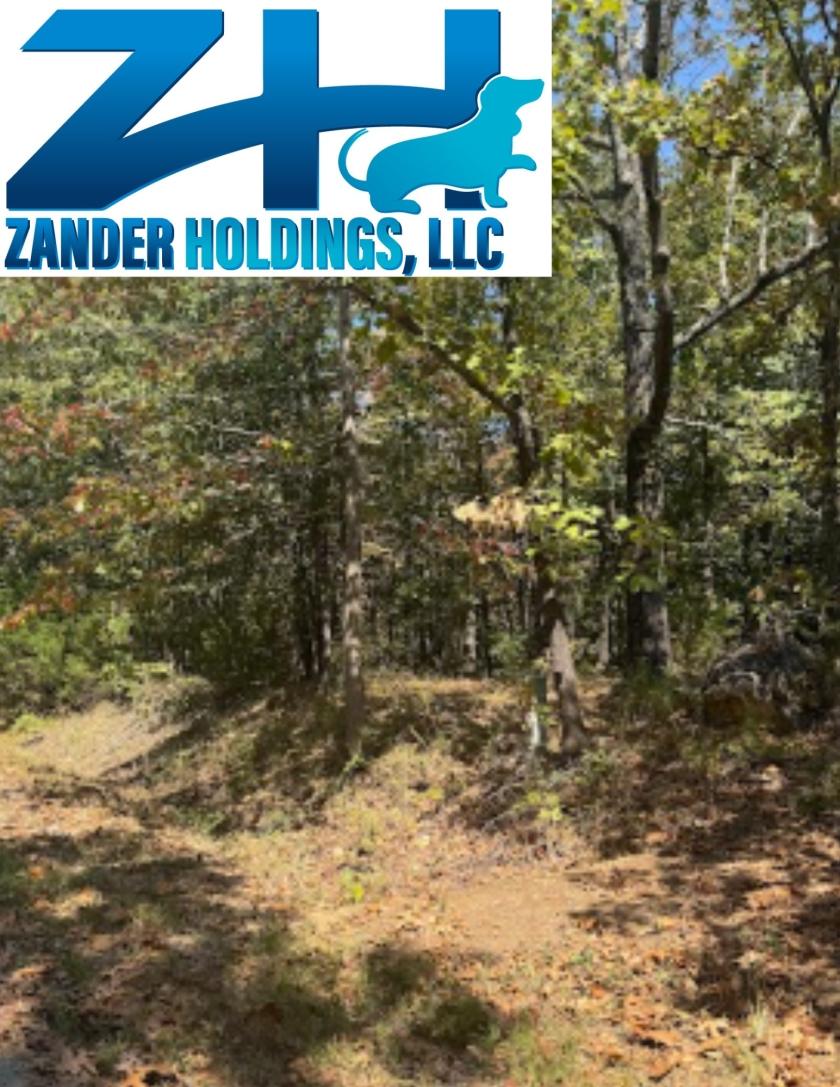 0.58 Acres for Sale in Williford, Arkansas