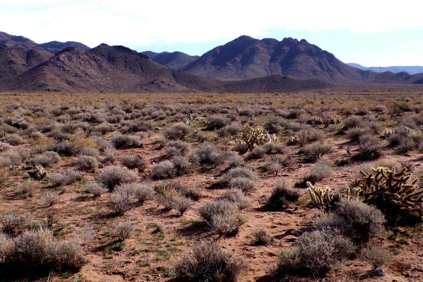 1 Acres for Sale in Meadview, Arizona