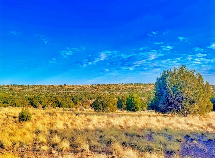 1.04 Acres for Sale in Concho, Arizona