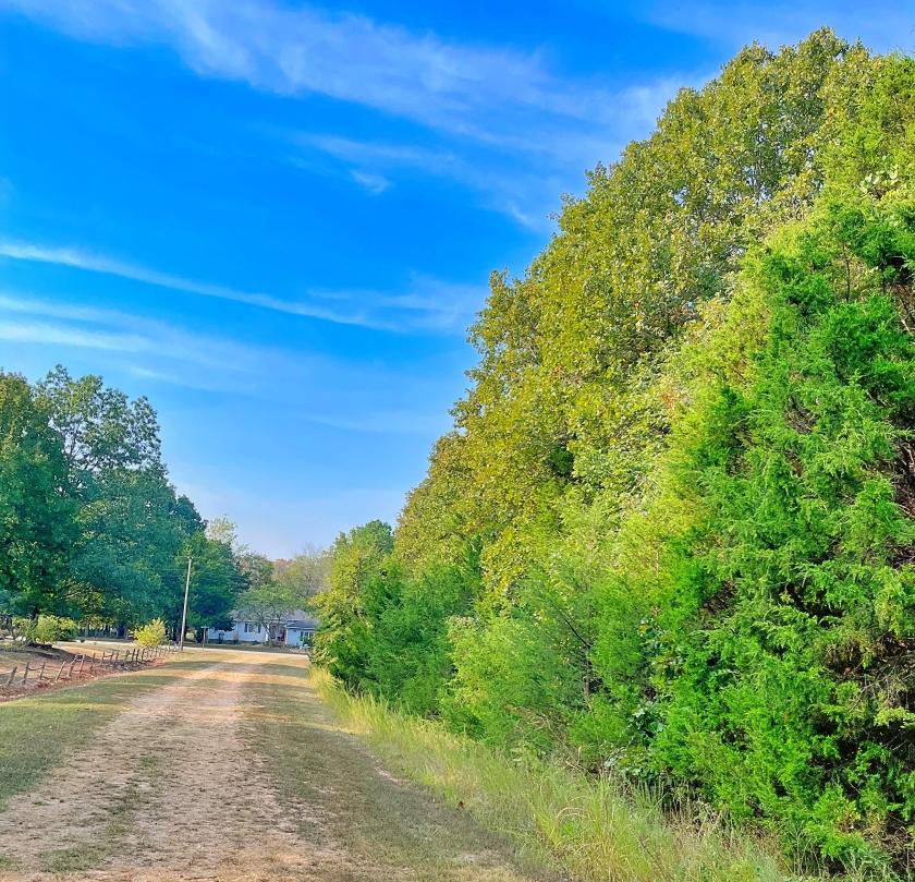 0.38 Acres for Sale in Horseshoe Bend, Arkansas