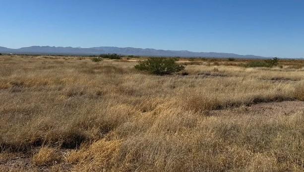 0.29 Acres for Sale in Douglas, Arizona