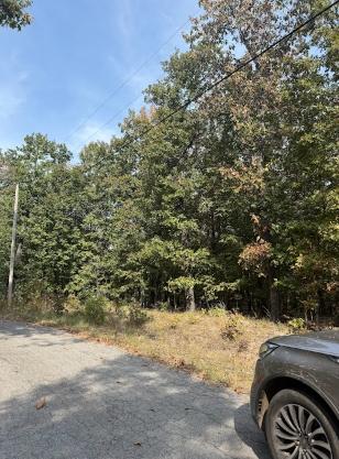0.58 Acres for Sale in CHEROKEE VILLAGE, ARKANSAS
