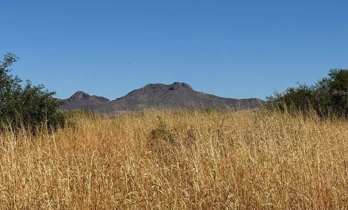 0.34 Acres for Sale in Douglas, Arizona