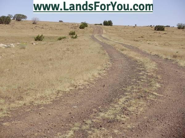 1.04 Acres for Sale in Concho, Arizona