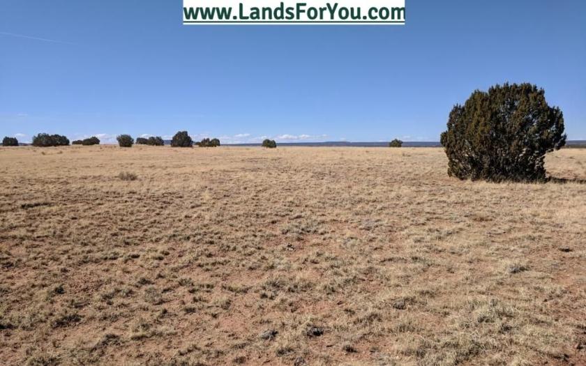 2.08 Acres for Sale in Concho, Arizona