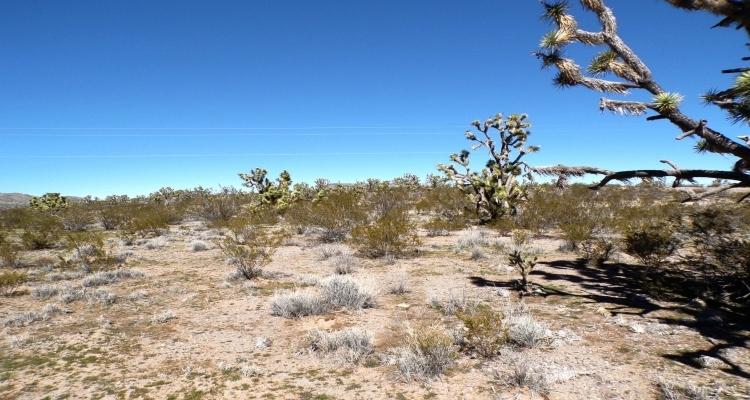 1.00 Acres for Sale in Dolan Springs, Arizona