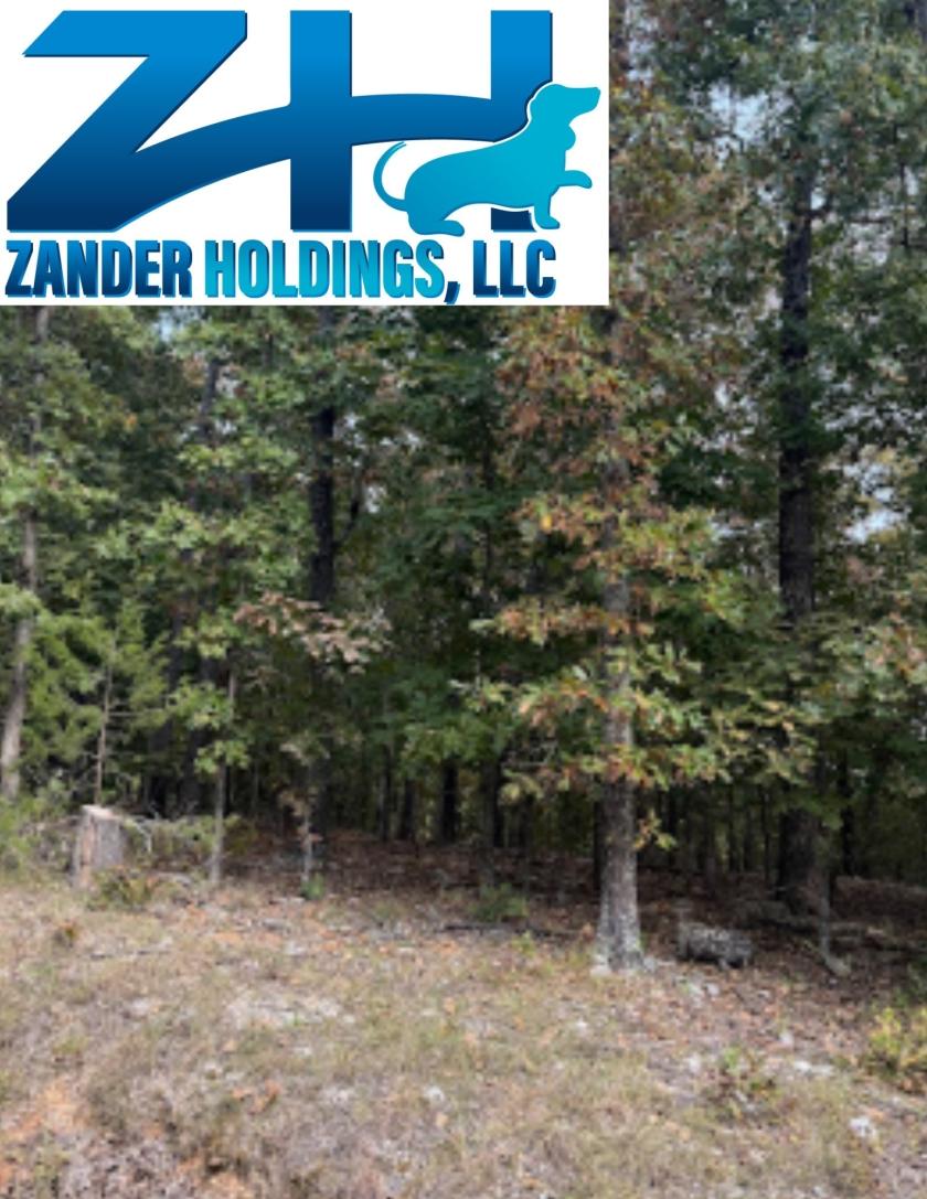 0.39 Acres for Sale in WILLIFORD, Arkansas