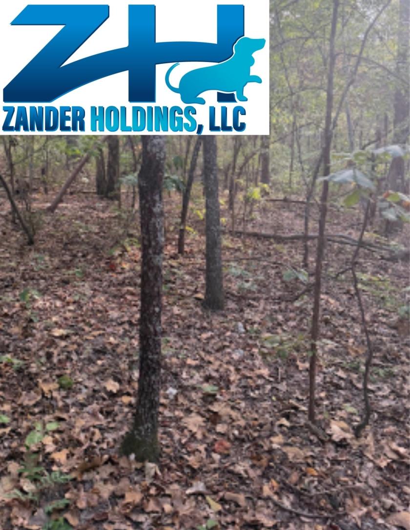 0.14 Acres for Sale in Williford, Arkansas