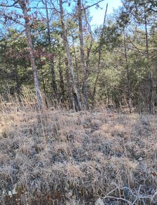 0.15 Acres for Sale in WILLIFORD, ARKANSAS
