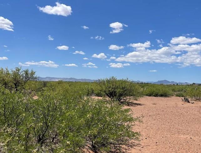 0.49 Acres for Sale in Douglas, Arizona