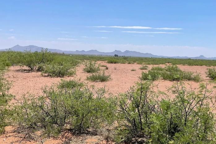 0.49 Acres for Sale in Douglas, Arizona
