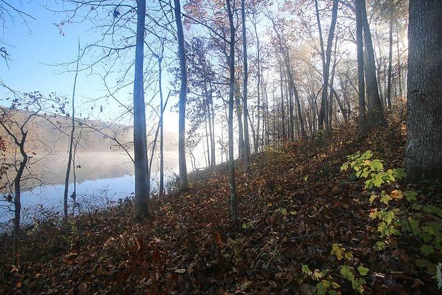 0.71 Acres for Sale in Eureka, Missouri