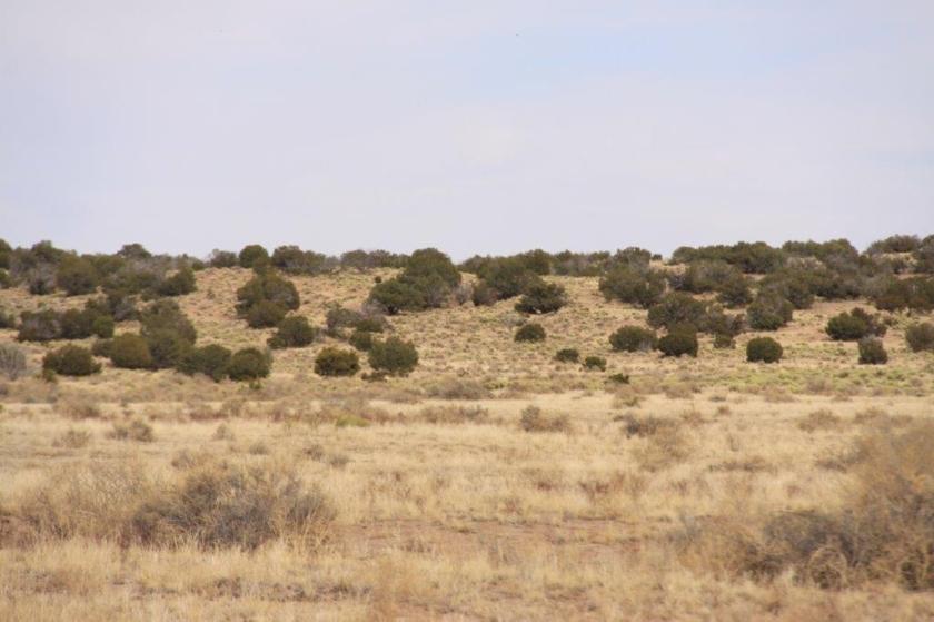 36.8 Acres for Sale in Saint Johns, Arizona