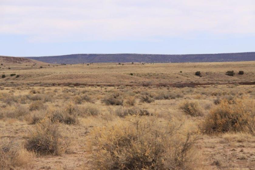 35.75 Acres for Sale in Saint Johns, Arizona