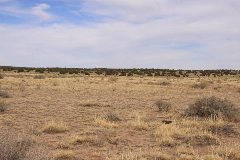 72.55 Acres for Sale in Saint Johns, Arizona