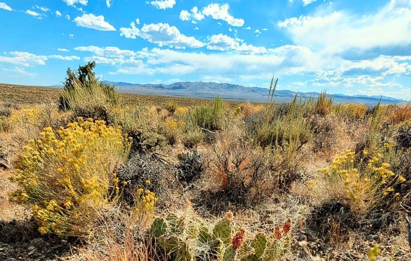 7.06 Acres for Sale in Montello, Nevada