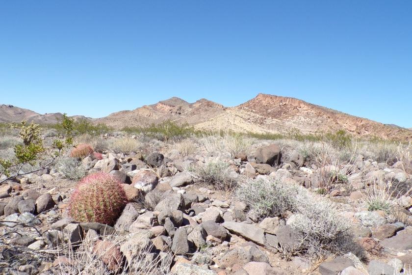 1 Acres for Sale in Dolan Springs, Arizona