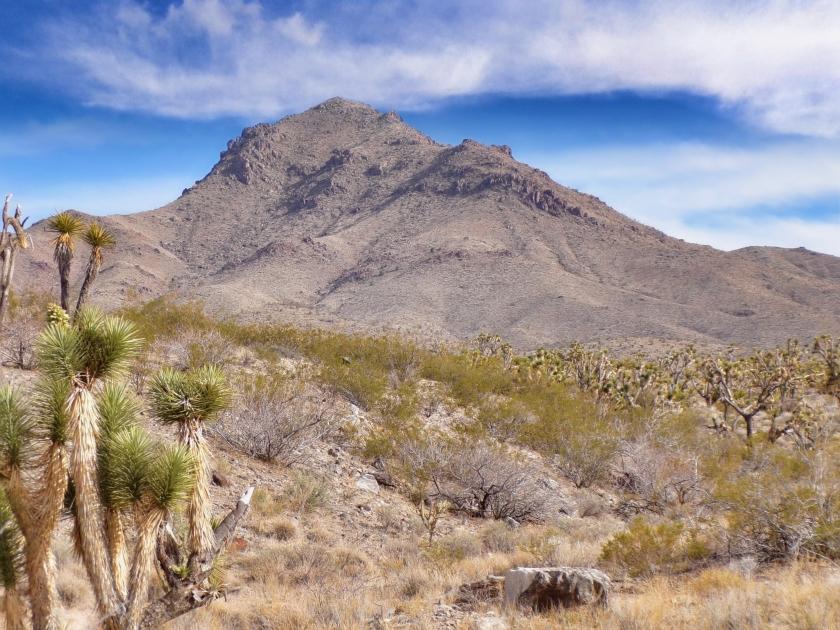 1.07 Acres for Sale in Dolan Springs, Arizona