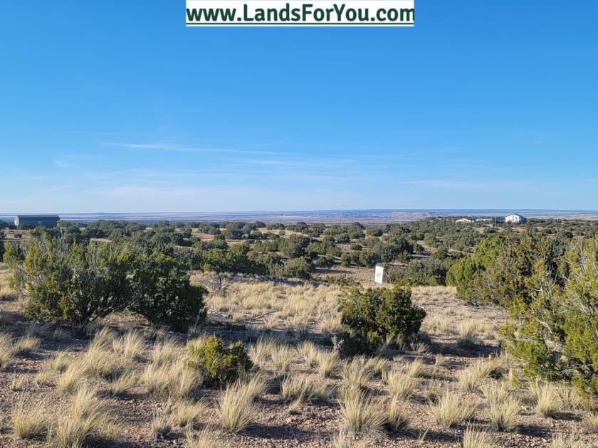 1.11 Acres for Sale in Concho, Arizona