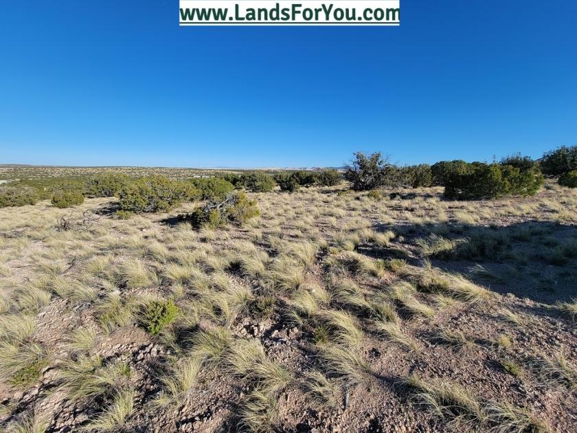 2.15 Acres for Sale in Concho, Arizona