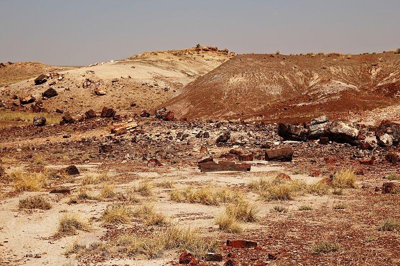 0.32 Acres for Sale in Sun Valley, Arizona