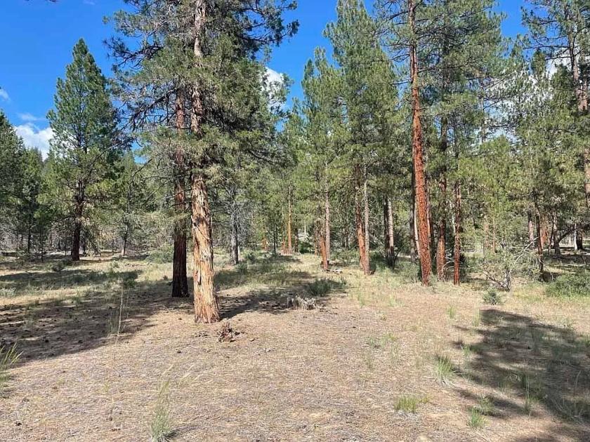 5 Acres for Sale in Sprague River, Oregon
