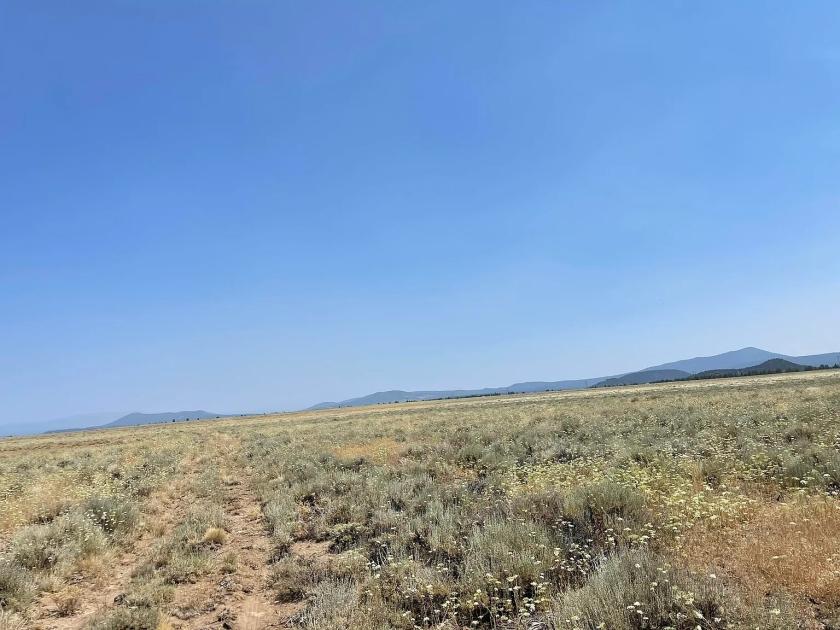 2.5 Acres for Sale in Chiloquin, Oregon