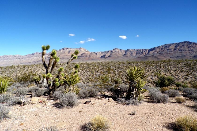 1.25 Acres for Sale in Valle Vista, Arizona