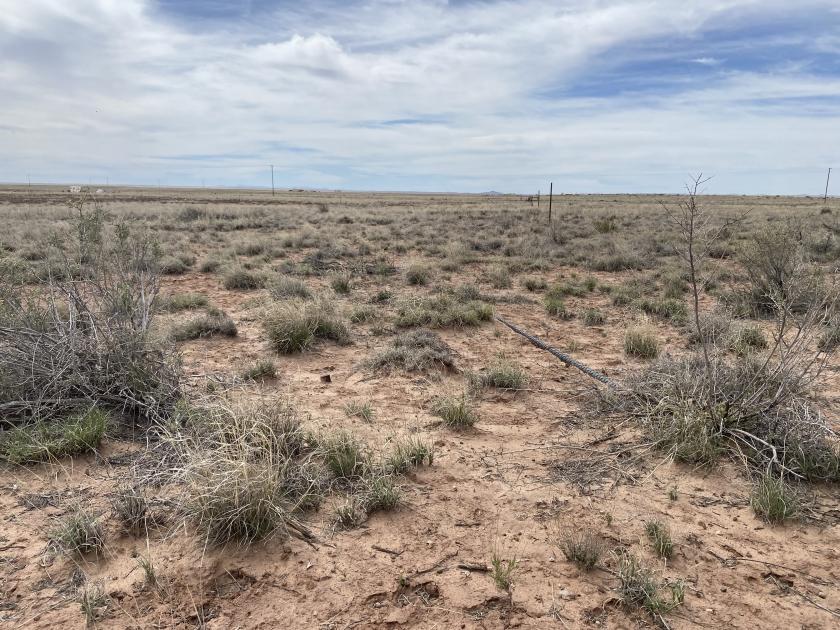 2.5 Acres for Sale in Holbrook, Arizona