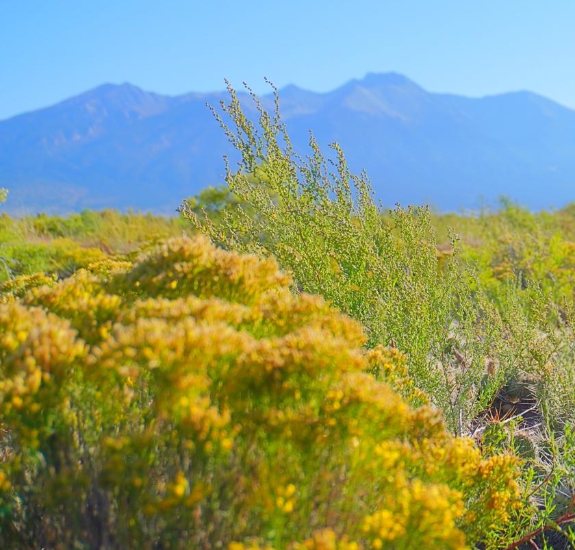 1.27 Acres for Sale in Alamosa, Colorado