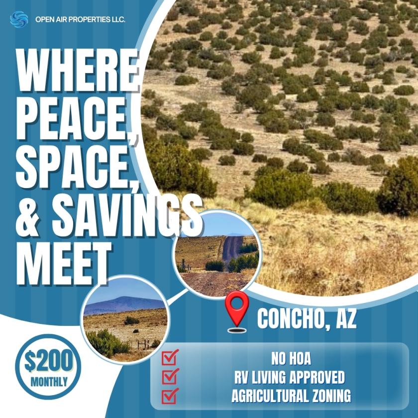 1.04 Acres for Sale in Concho, Arizona